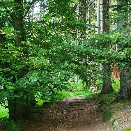 Odenwald-Lodge Mit Infrarotsauna Und E-Ladestation Im Naturpark Odenwald "Haus Himmelblau" Reichelsheim ภายนอก รูปภาพ